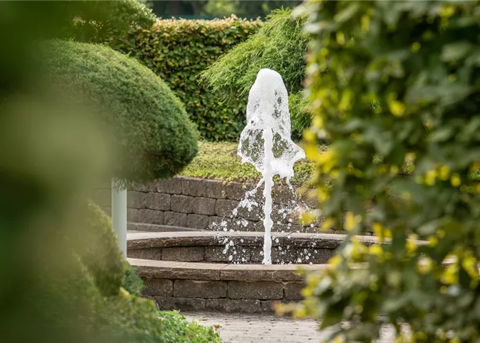 Springbrunnenbecken Springbrunnenbecken