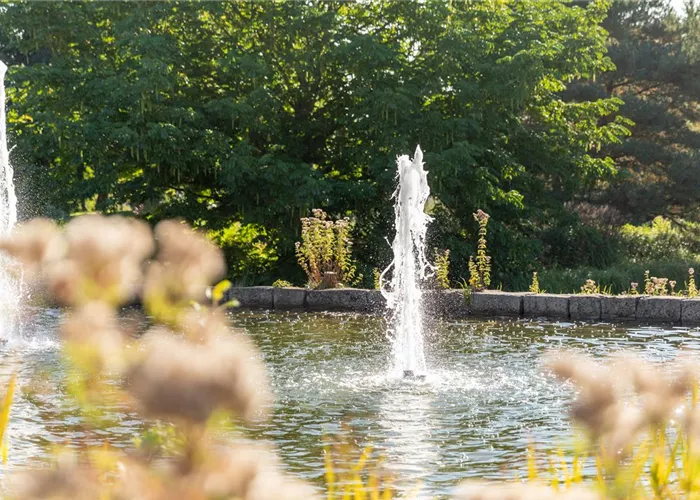 Springbrunnen Springbrunnen